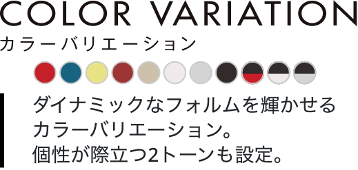 COLOR VARIATION