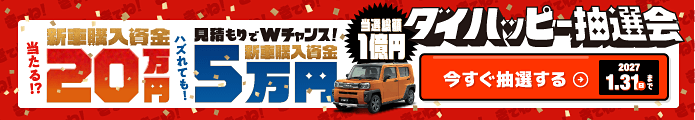 ダイハッピー抽選会