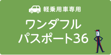 ワンダフル パスポート36