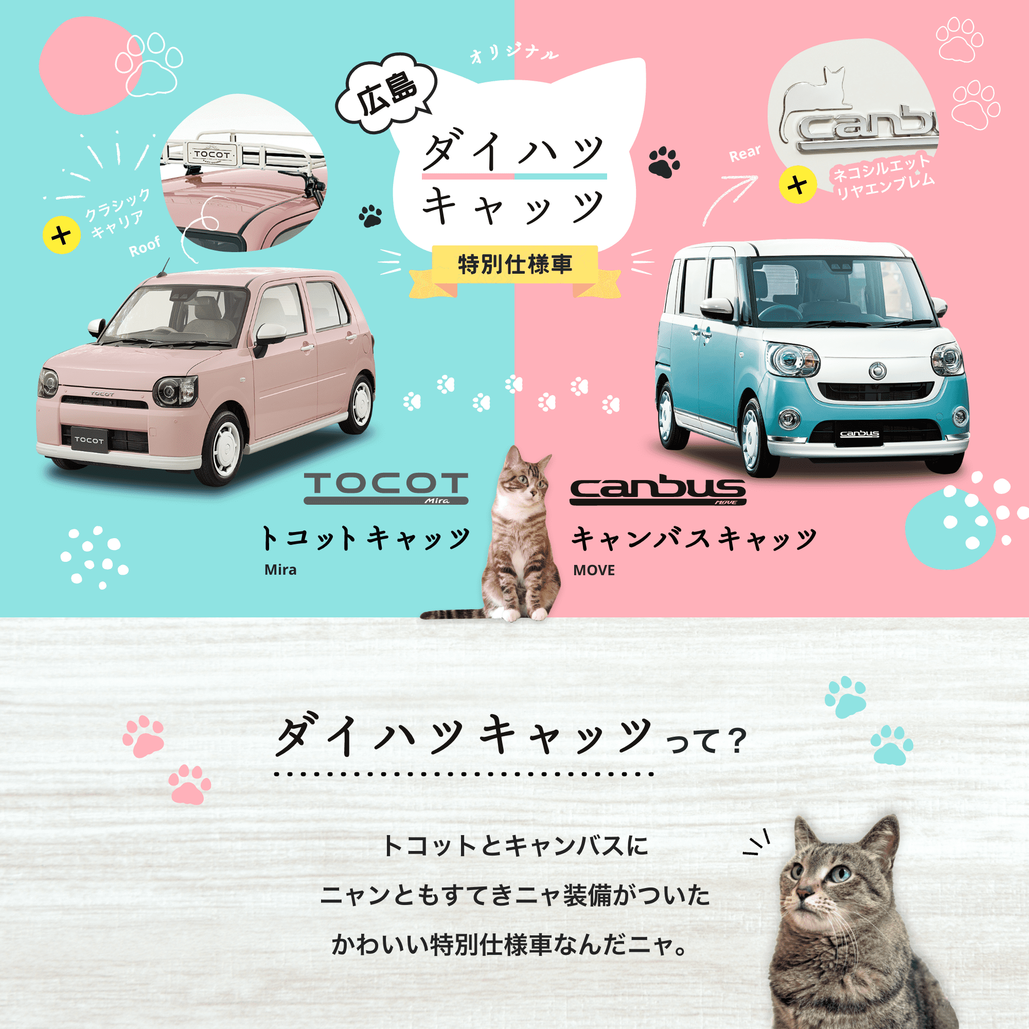 トコット&キャンバスキャッツ