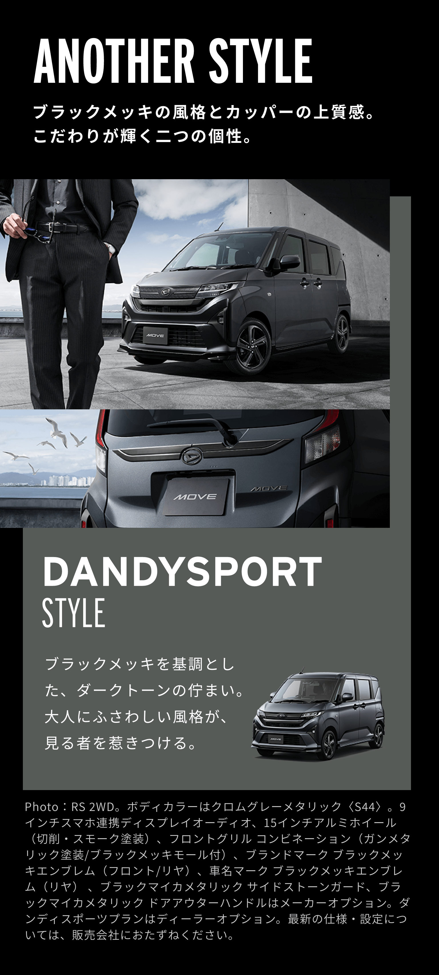 ANOTHER STYLE DANDYSPORT STYLE