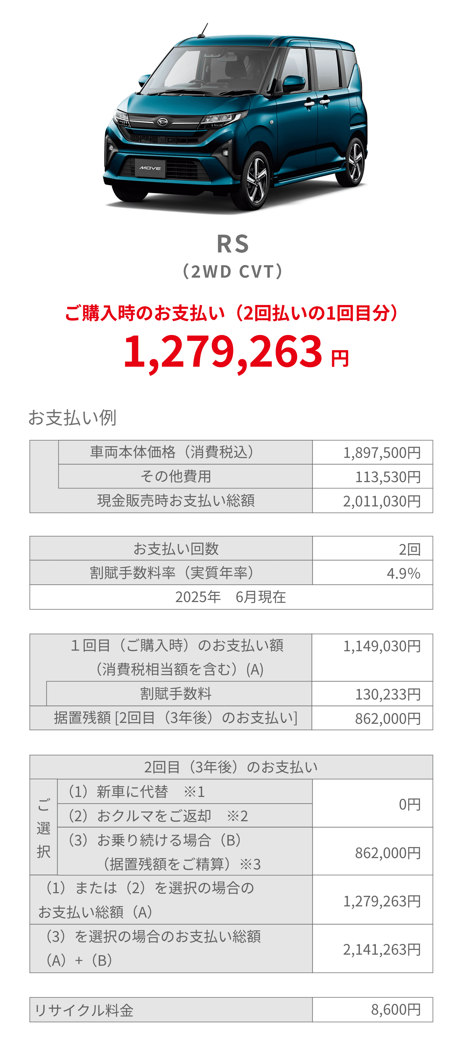 お支払い例 RS
