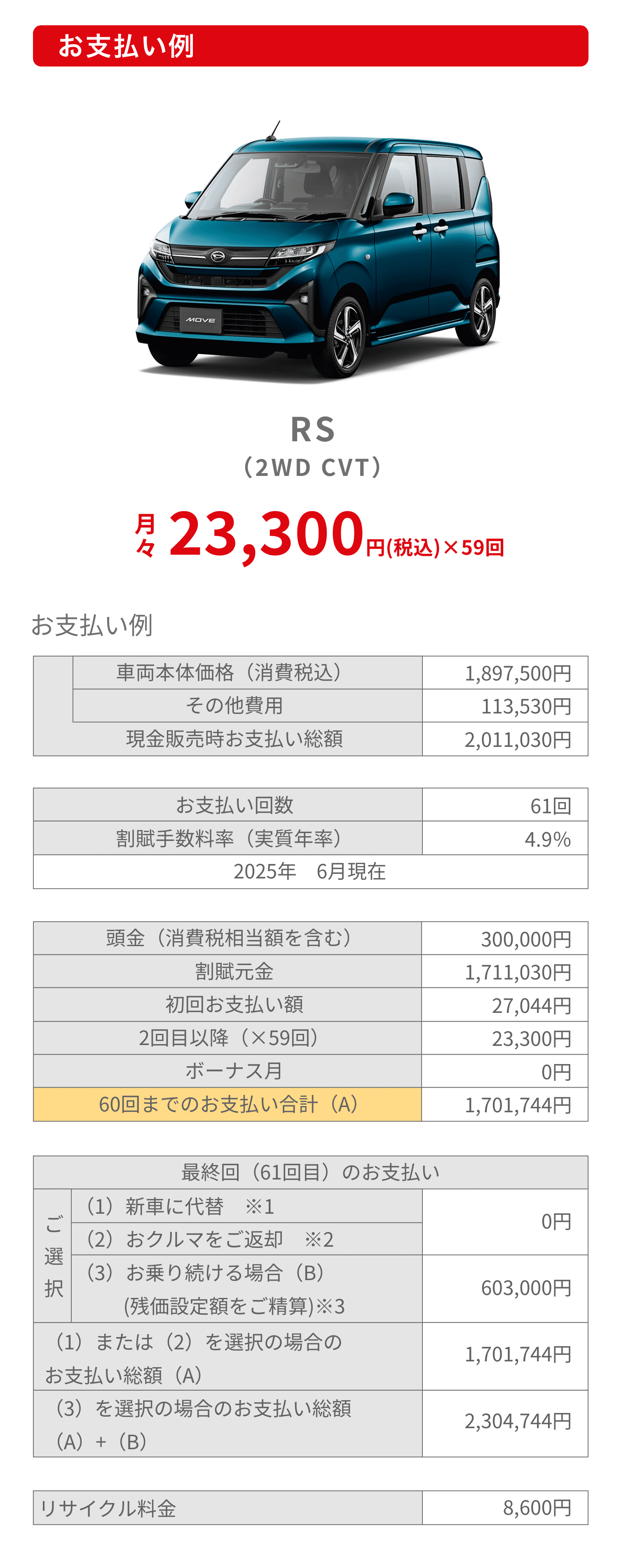 お支払い例 RS