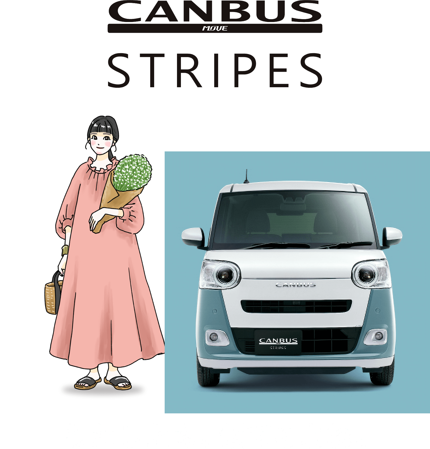 Stripesの詳細