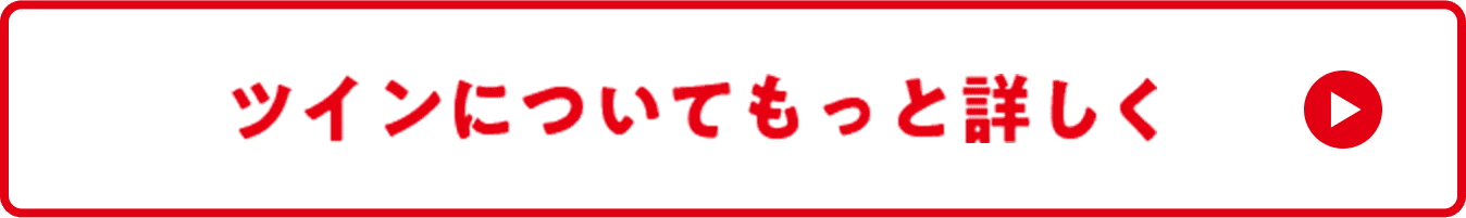 ツインについてもっと詳しく